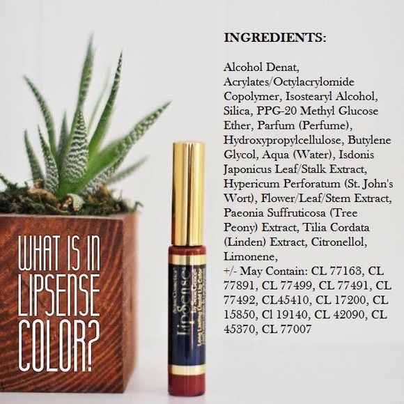 LipSense Bombshell - Picture 4 of 4